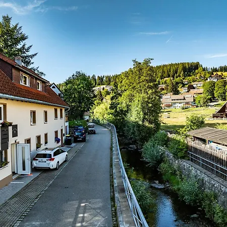 Holiday home Haus An Der Haslach Lenzkirch